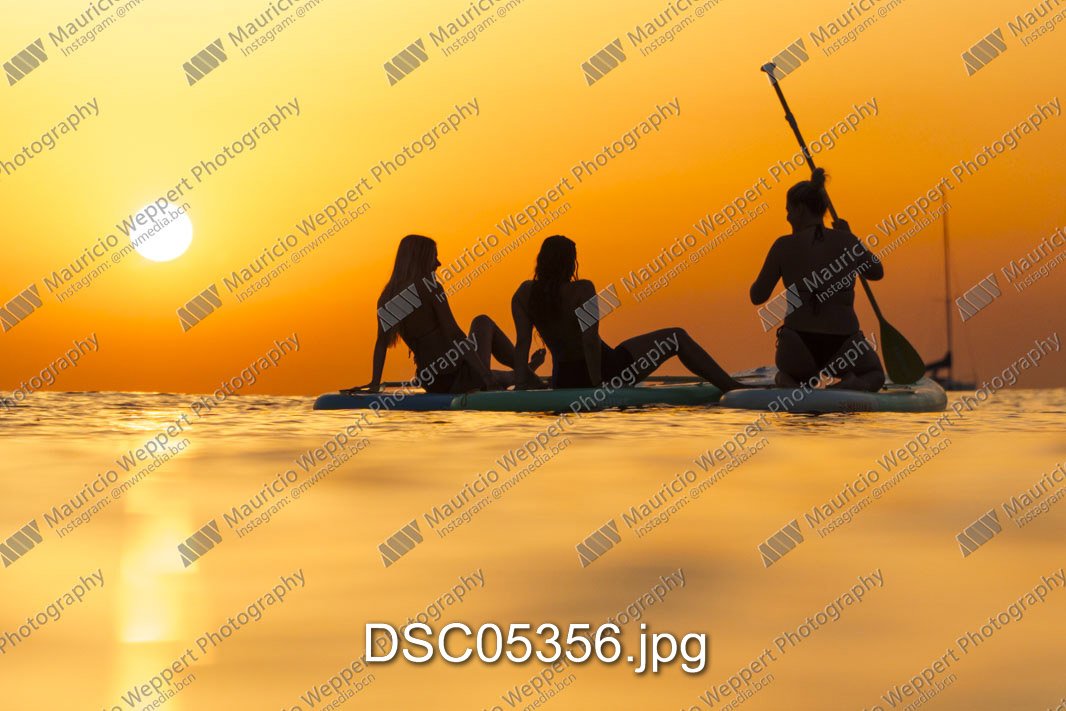 DSC05356.jpg