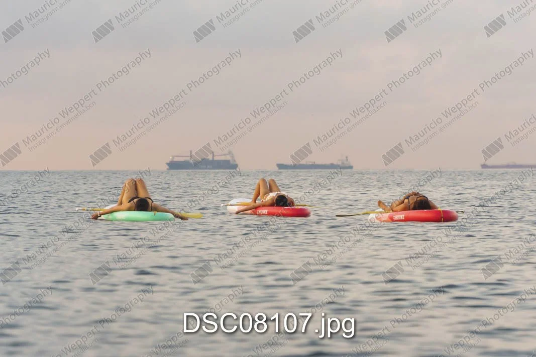 DSC08107.jpg