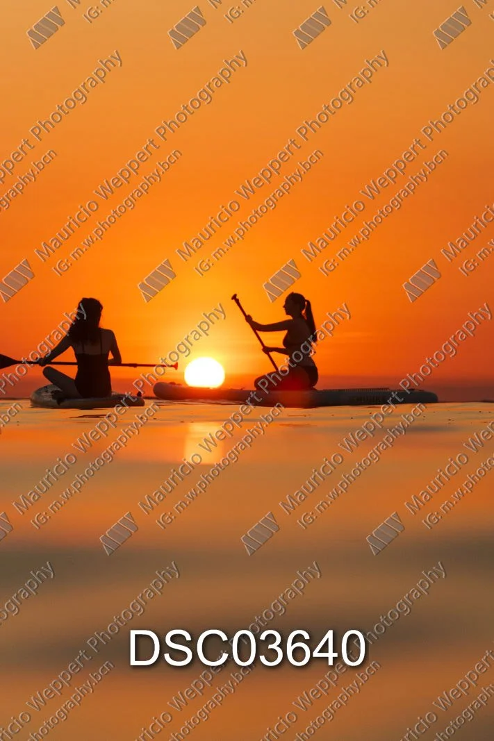 DSC03640.jpg