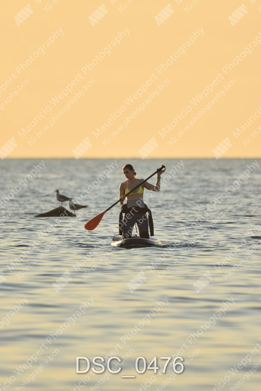 DSC_0476.jpg