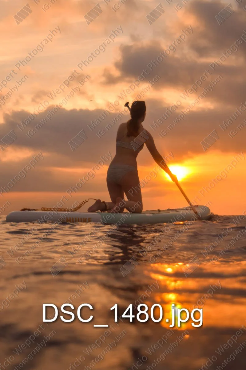 DSC_1480.jpg