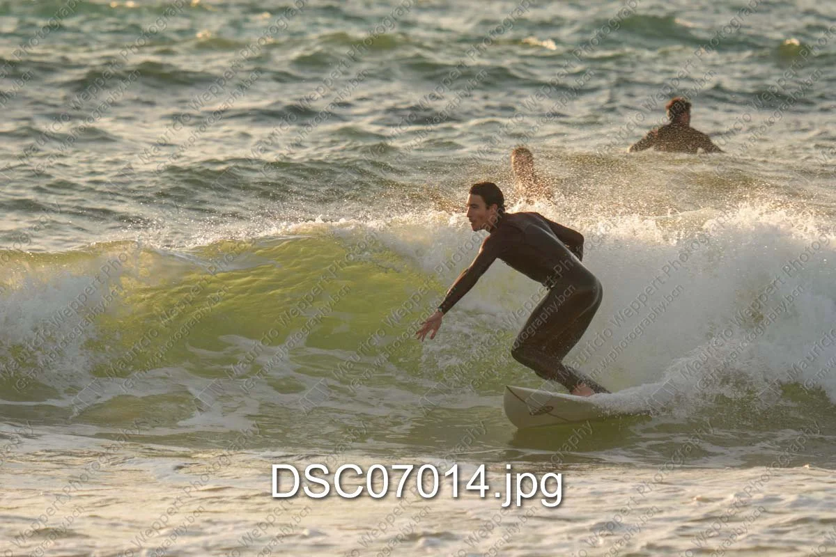 DSC07014.jpg