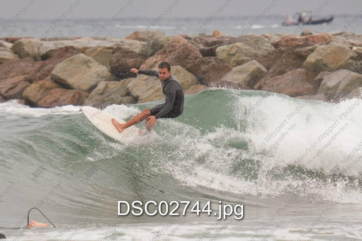 DSC02744.jpg
