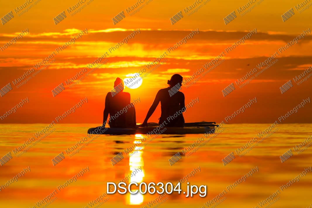 DSC06304.jpg