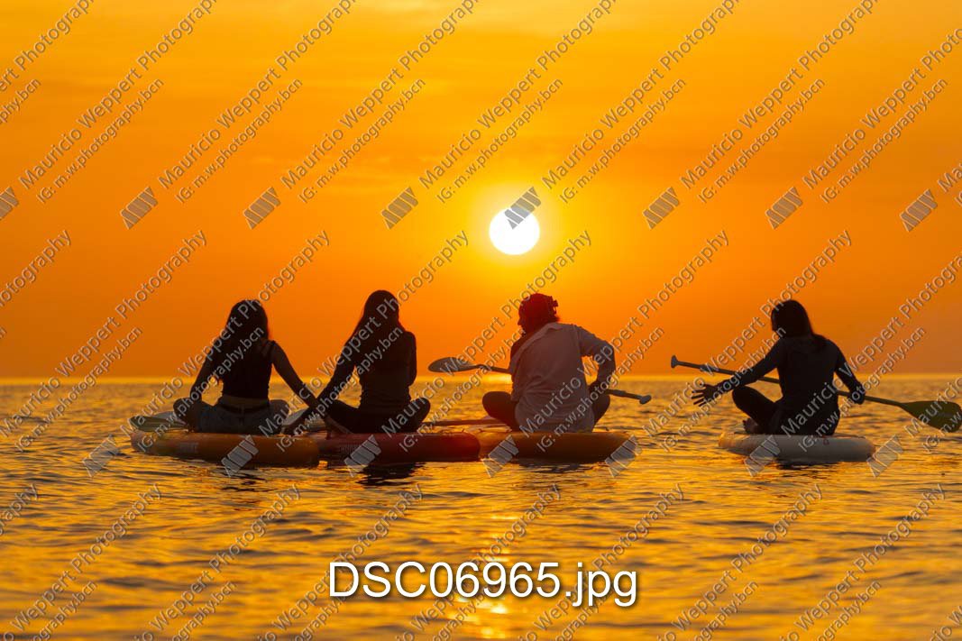 DSC06965.jpg