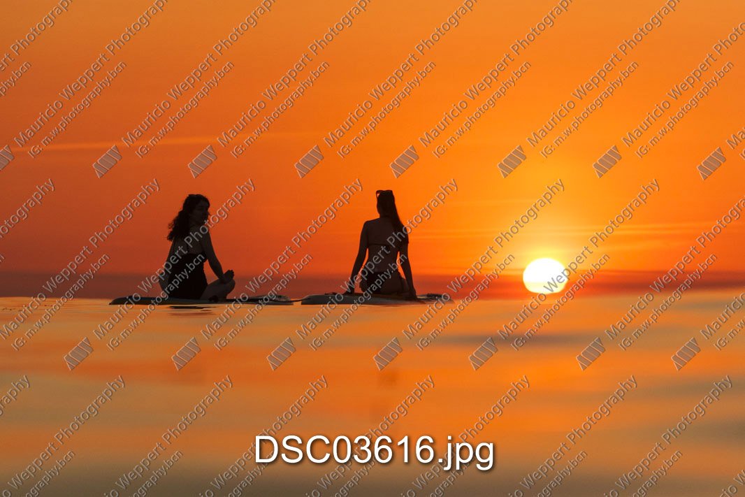 DSC03616.jpg