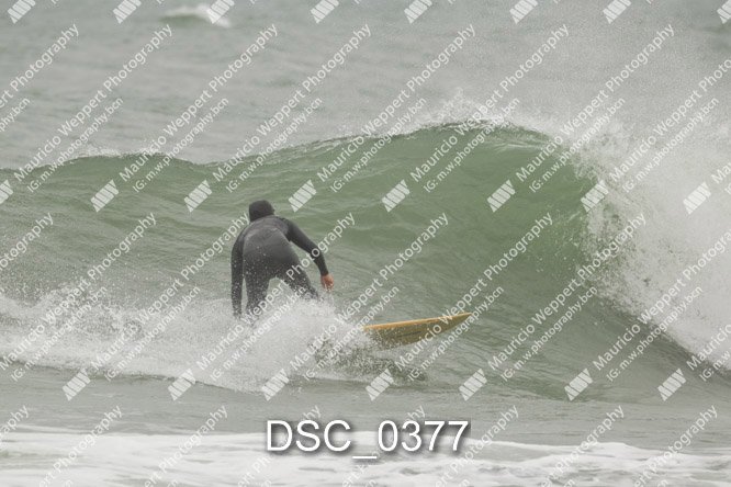 DSC_0377.jpg