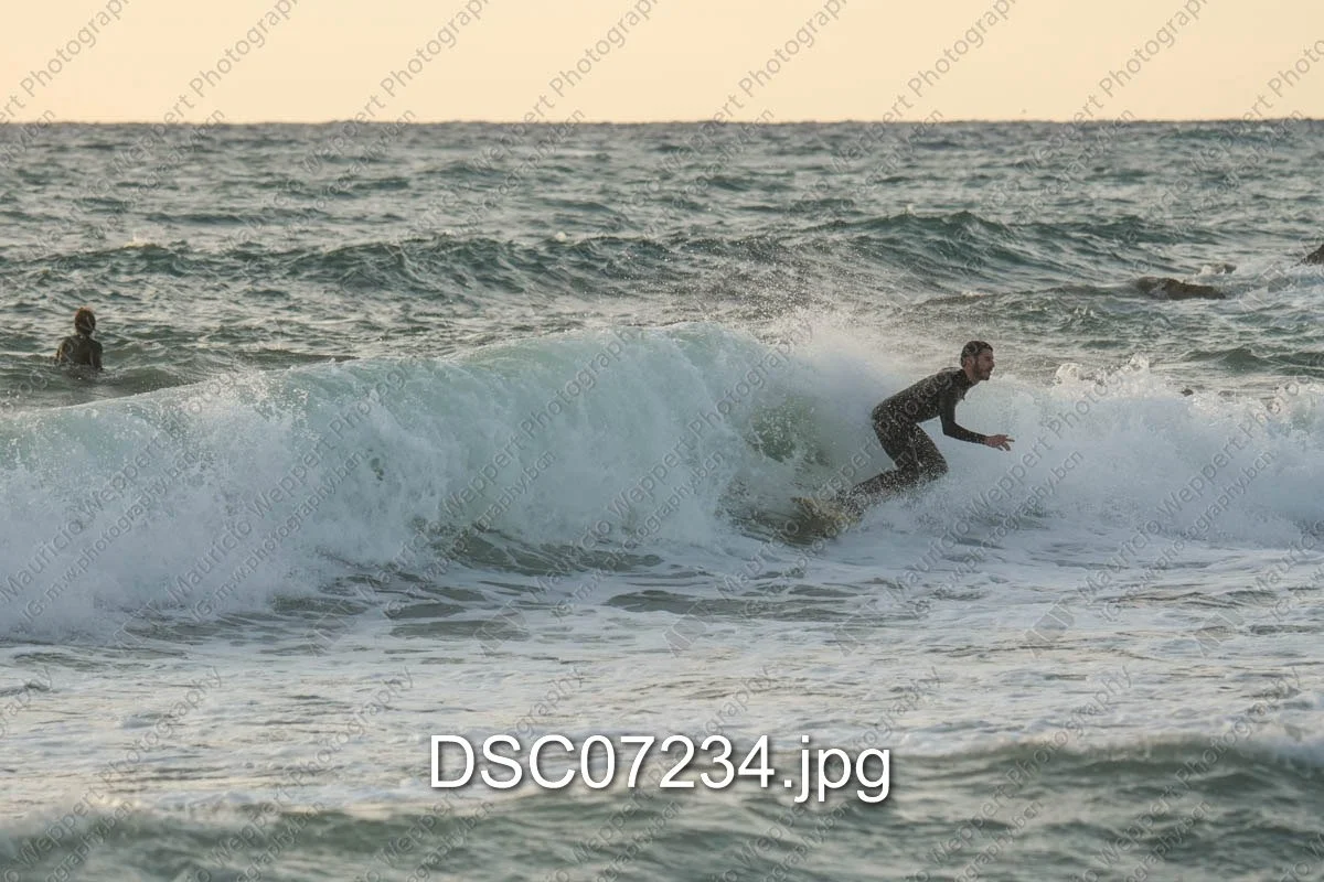 DSC07234.jpg