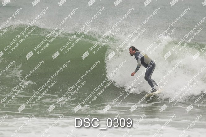 DSC_0309.jpg