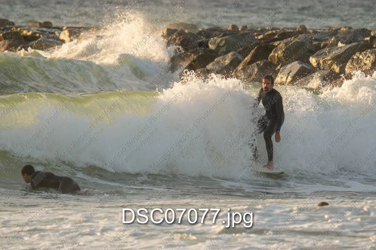 DSC07077.jpg