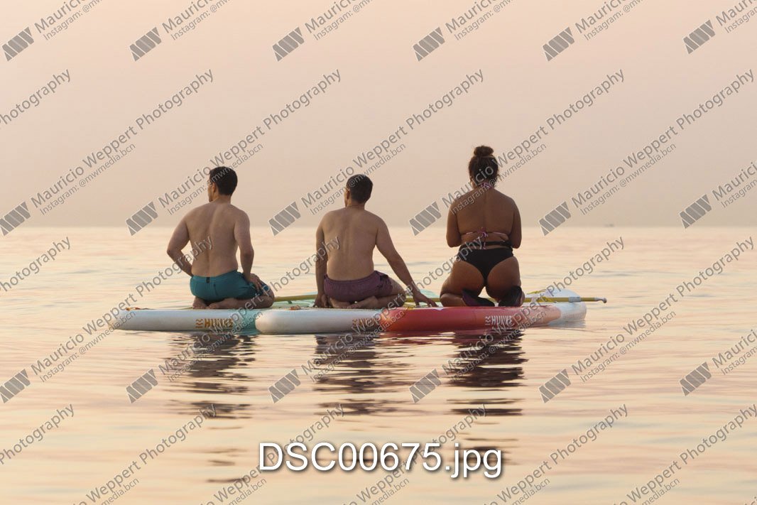 DSC00675.jpg
