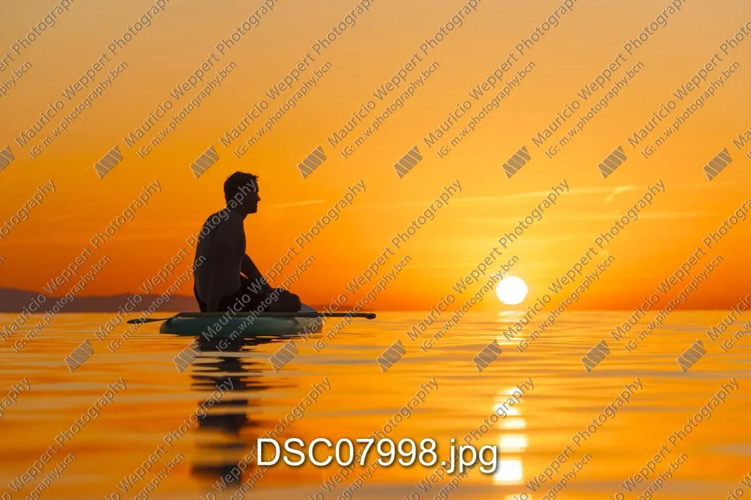 DSC07998.jpg