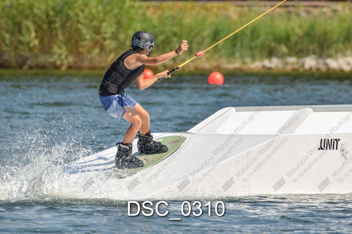 DSC_0310.jpg