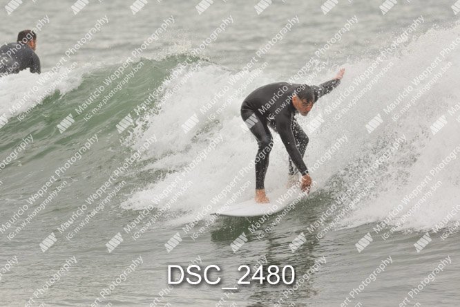 DSC_2480.jpg