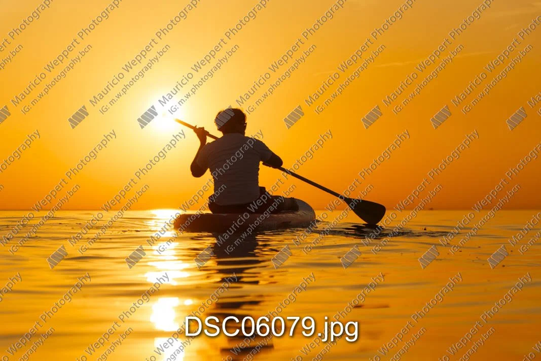 DSC06079.jpg