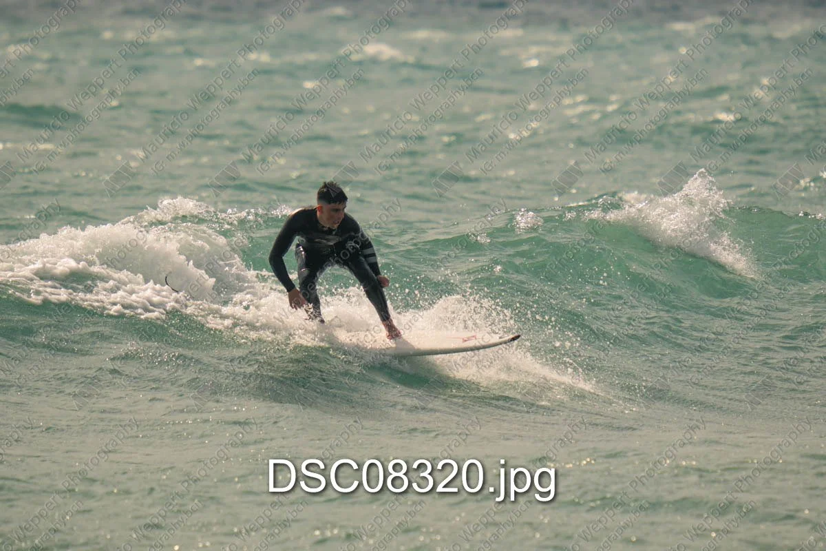 DSC08320.jpg