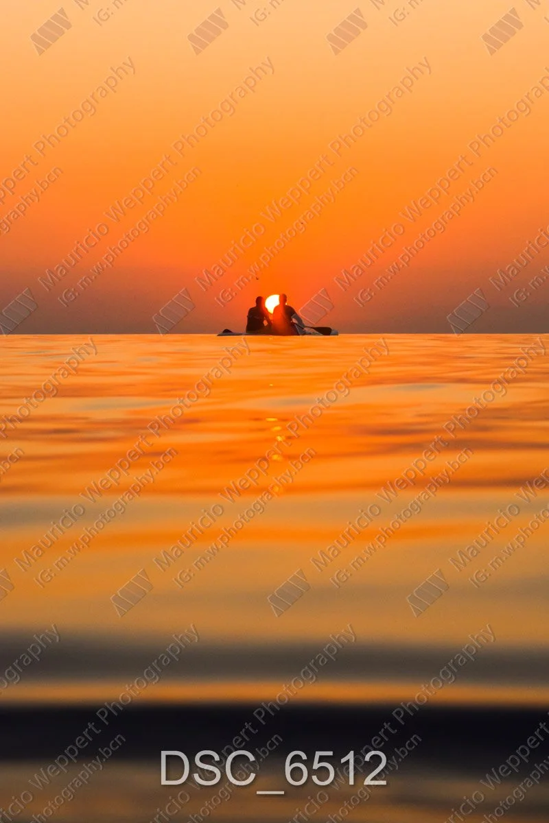 DSC_6512.jpg