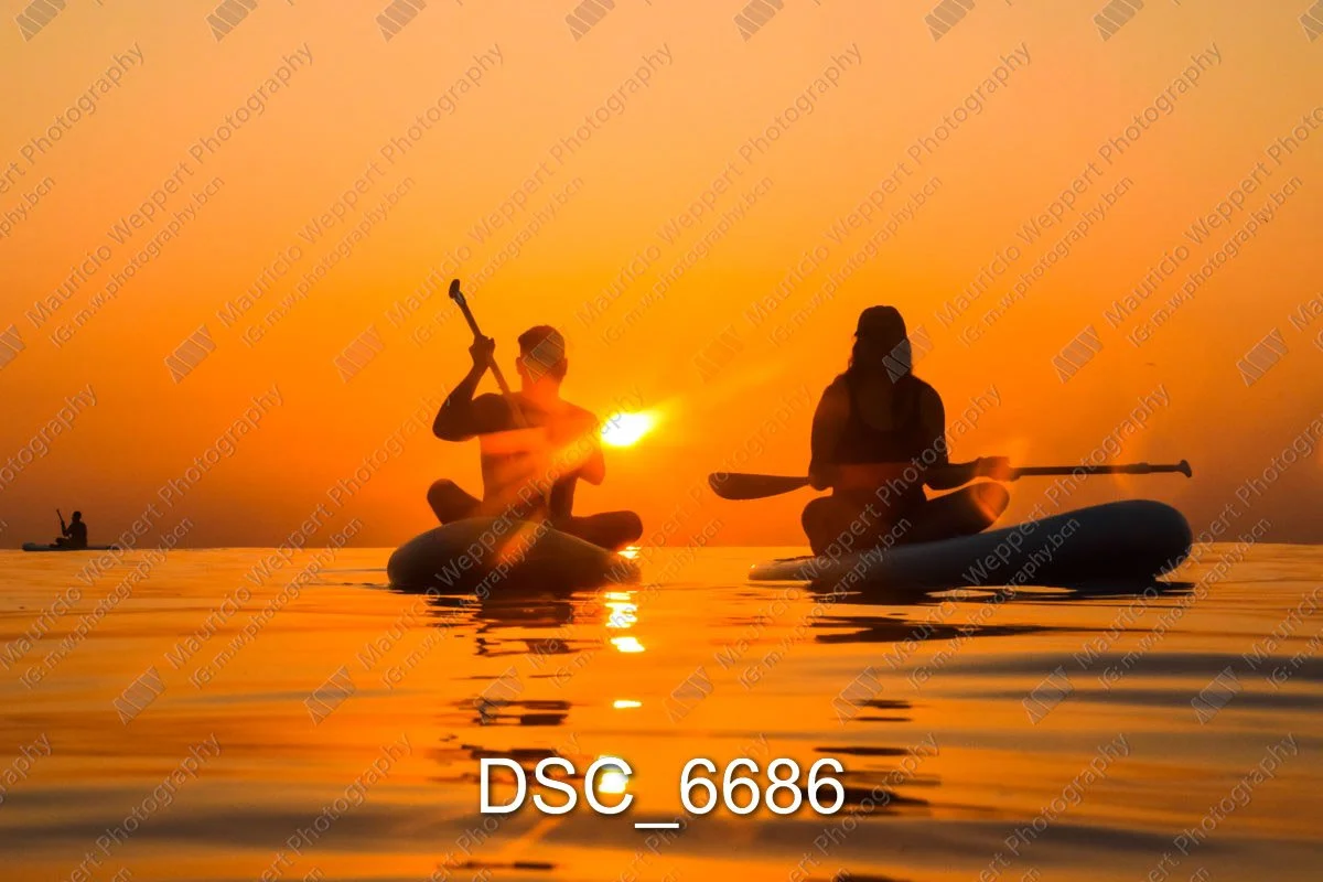 DSC_6686.jpg