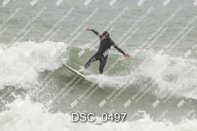 DSC_0497.jpg