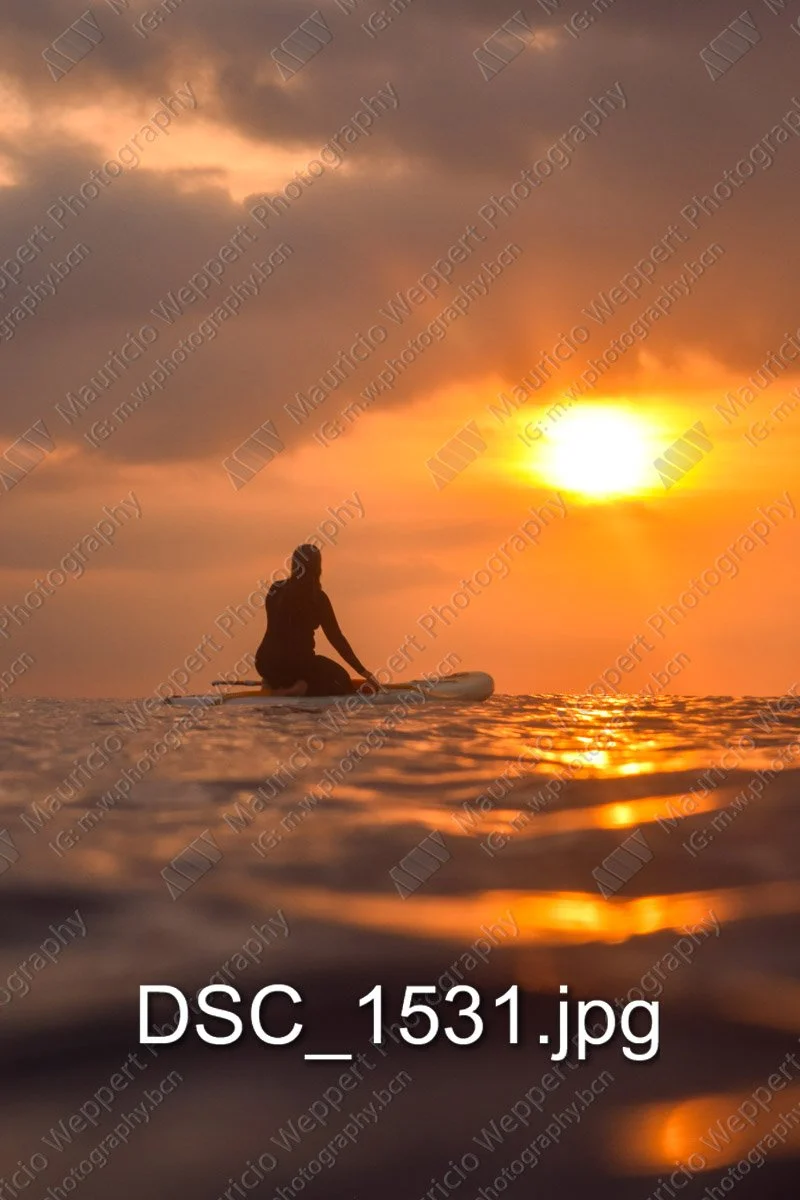 DSC_1531.jpg