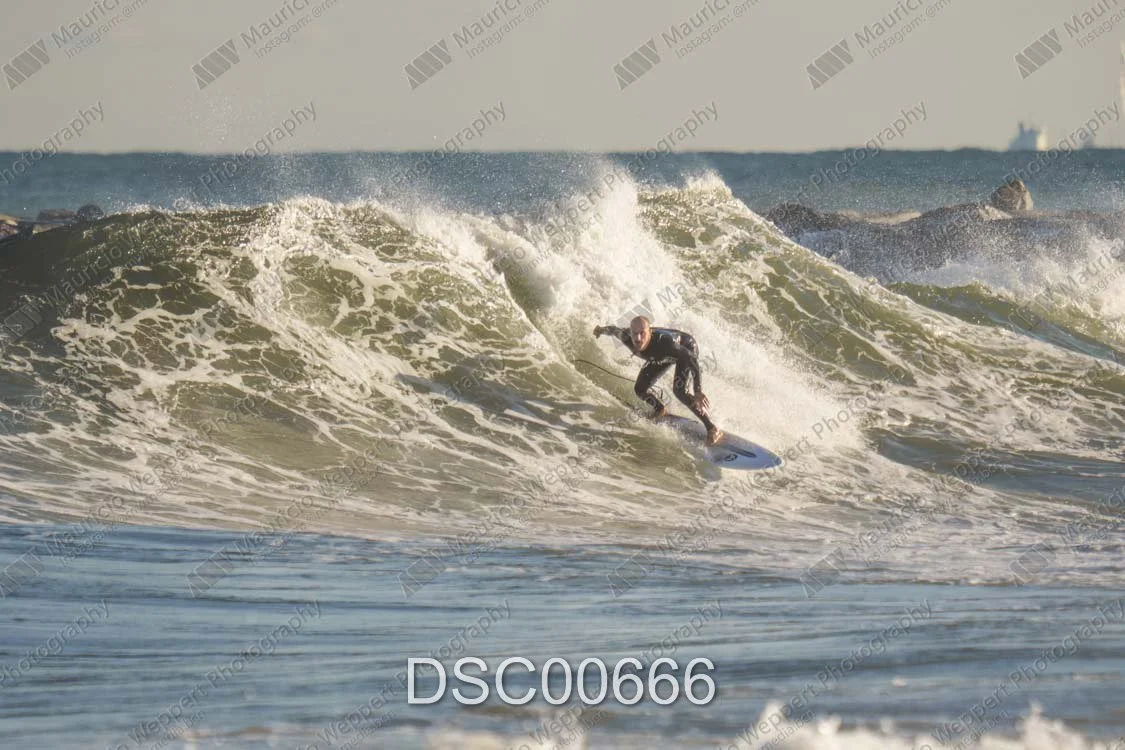 DSC00666.jpg