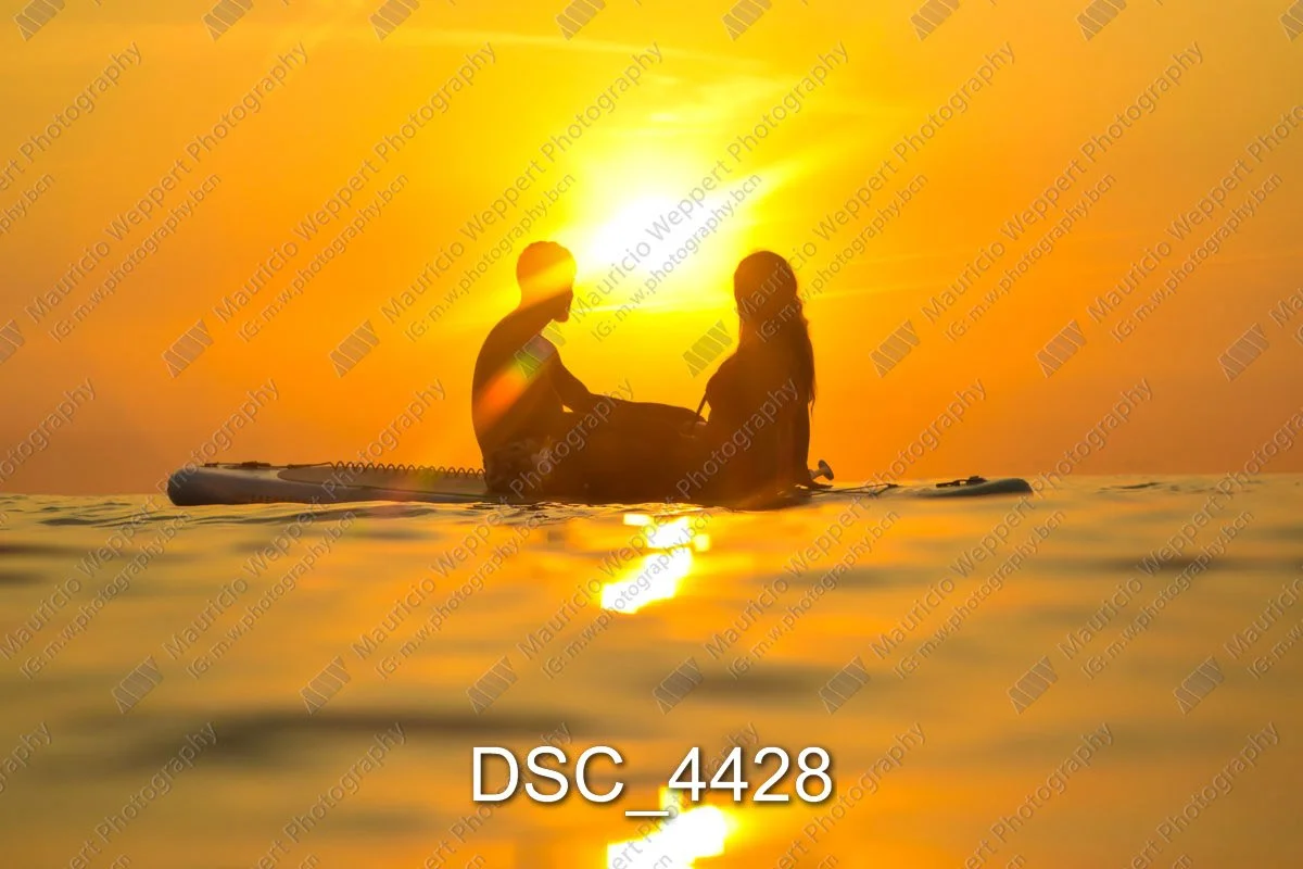 DSC_4428.jpg
