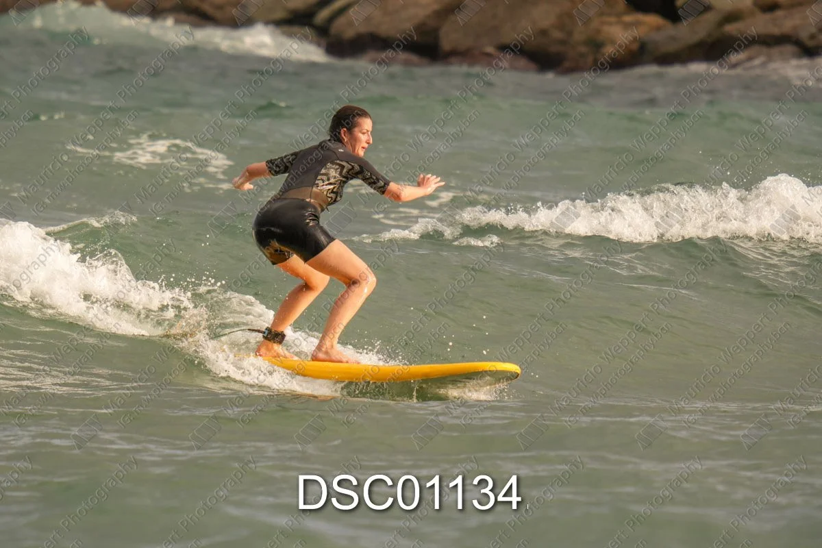 DSC01134.jpg