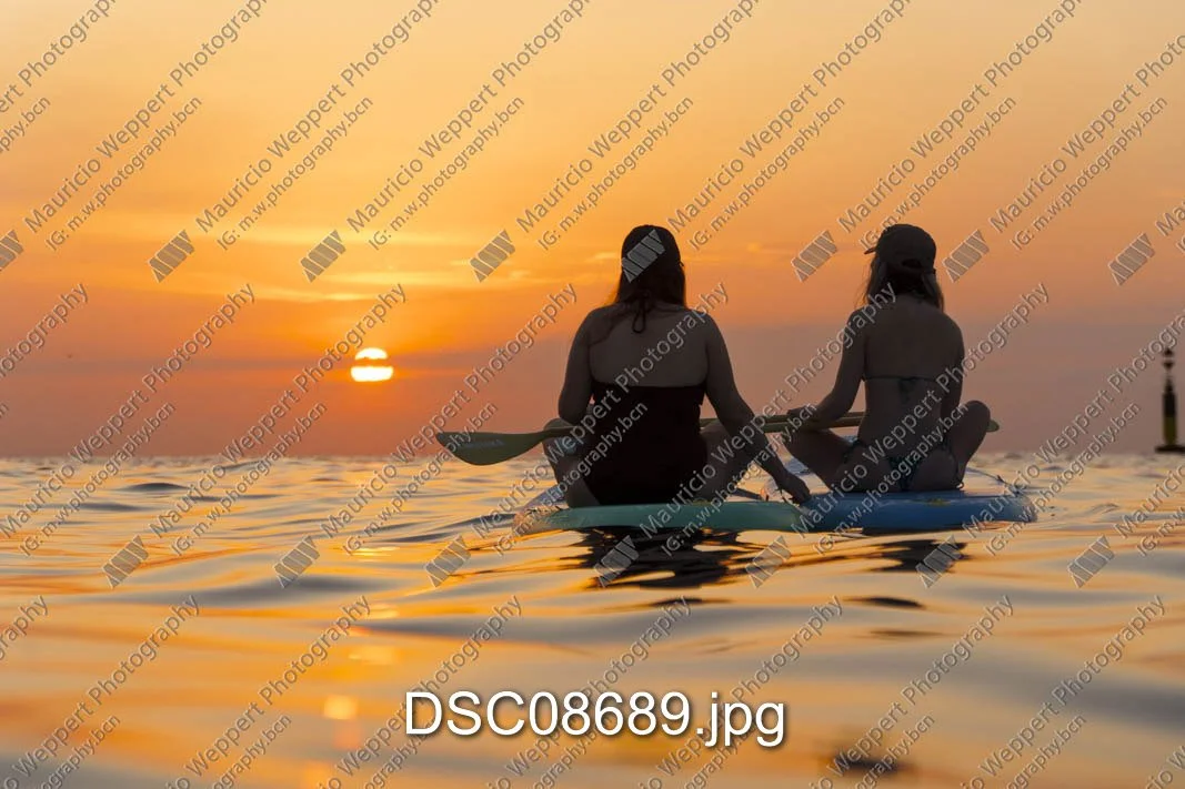DSC08689.jpg