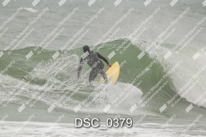 DSC_0379.jpg