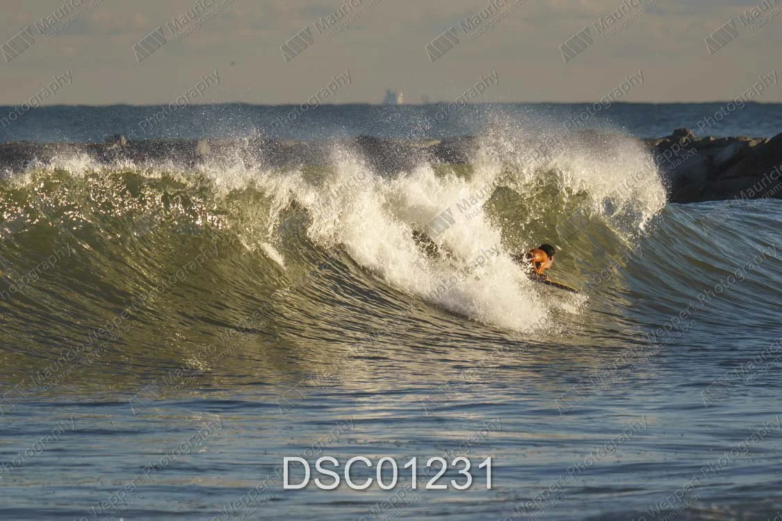 DSC01231.jpg