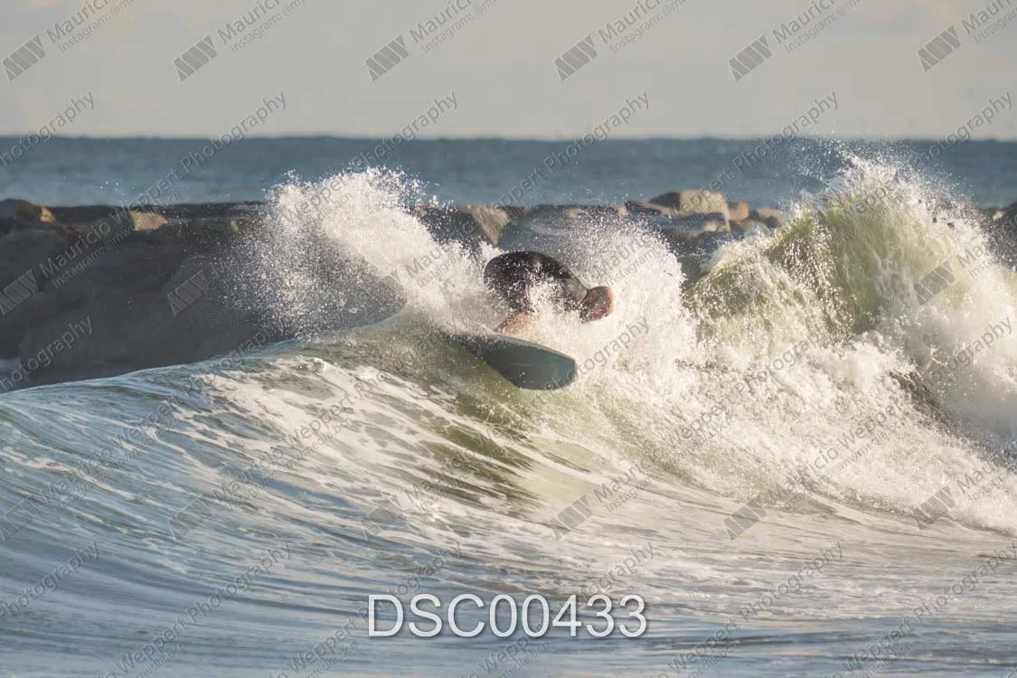DSC00433.jpg