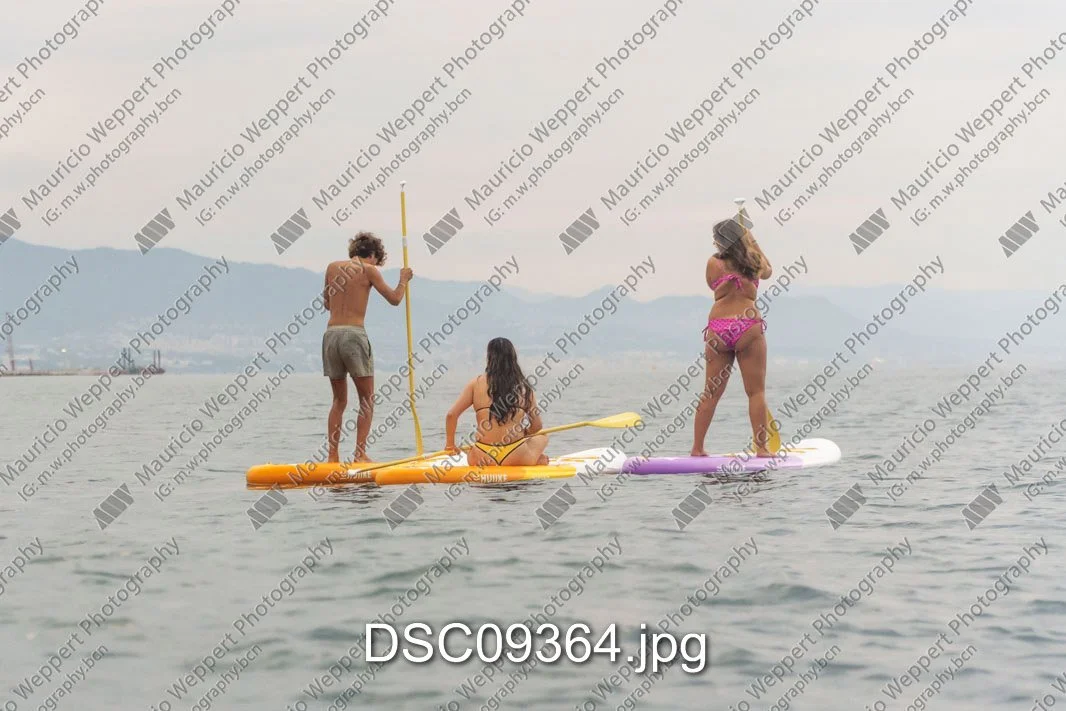 DSC09364.jpg