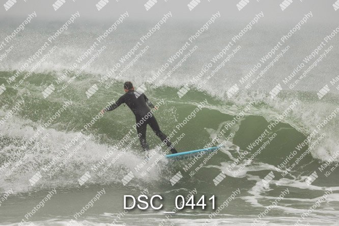 DSC_0441.jpg