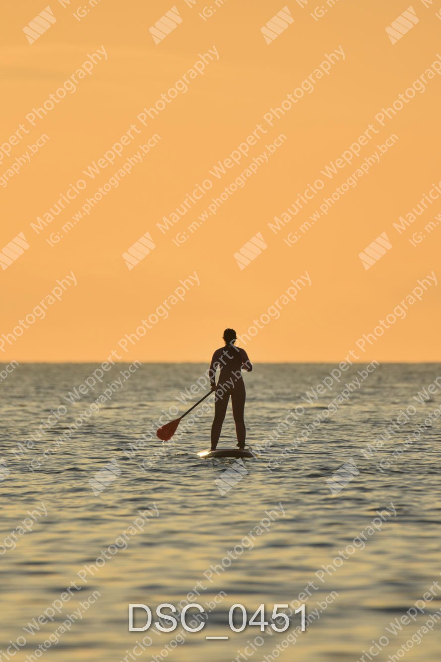 DSC_0451.jpg