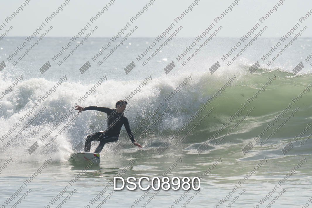 DSC08980.jpg