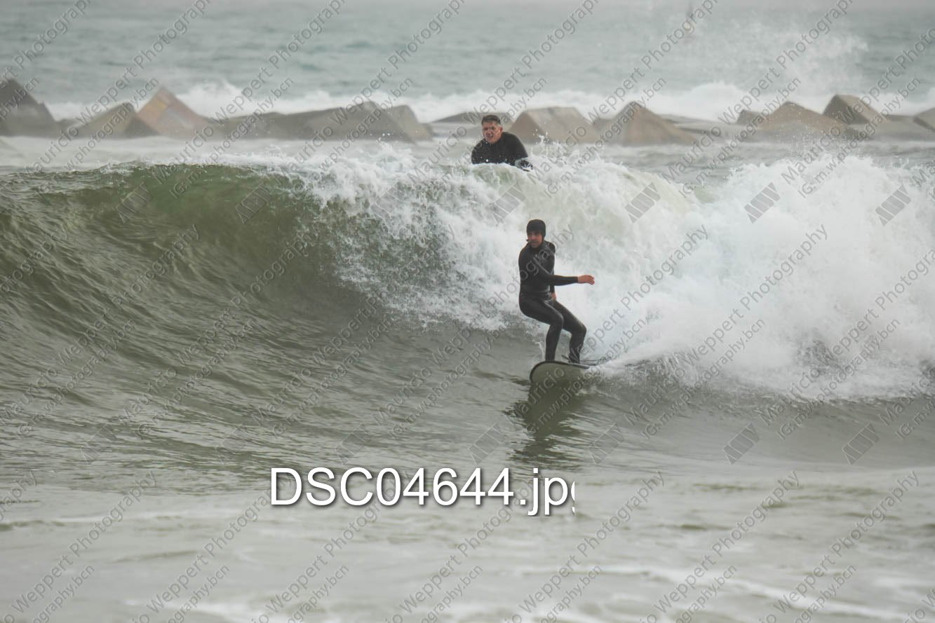 DSC04644.jpg