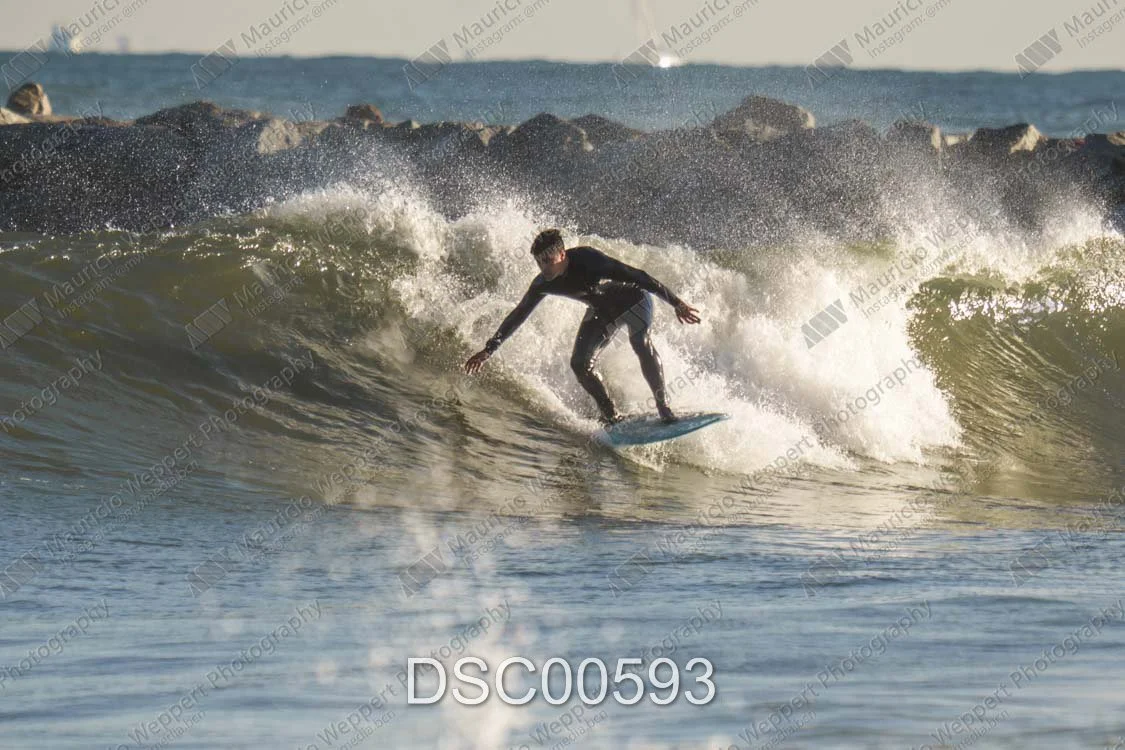 DSC00593.jpg