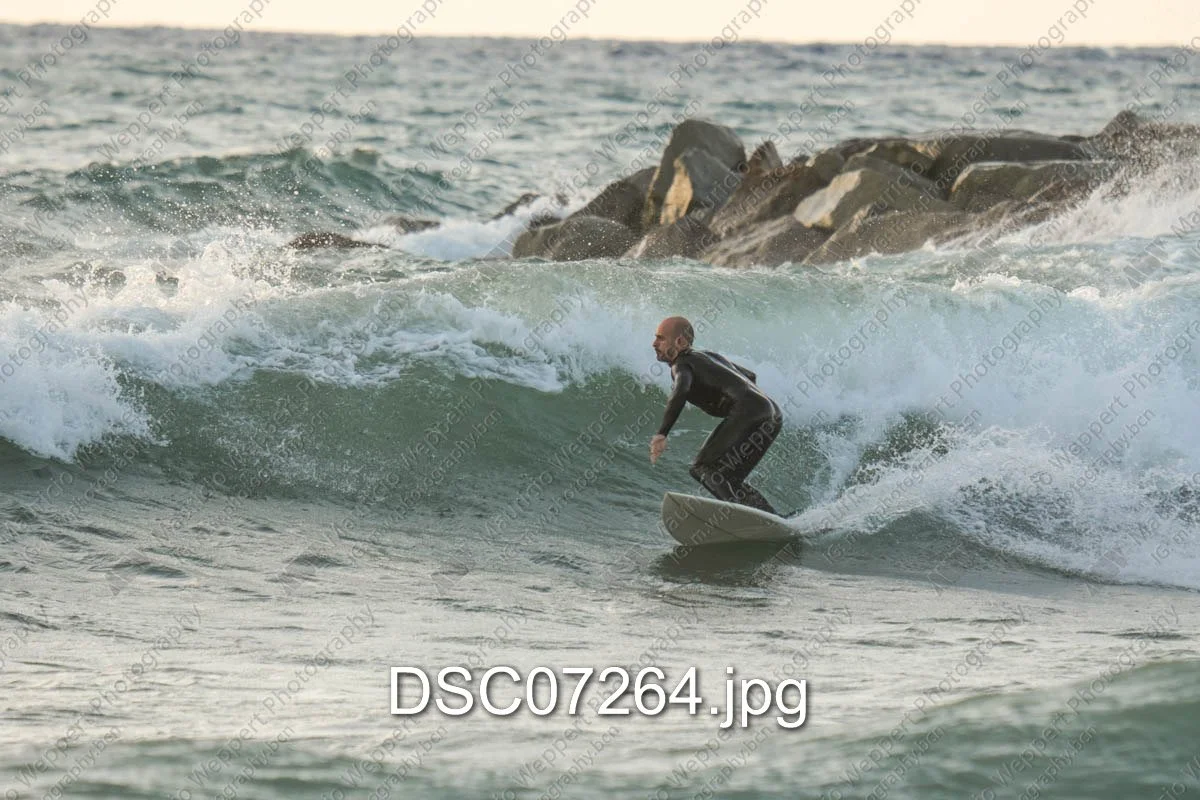 DSC07264.jpg