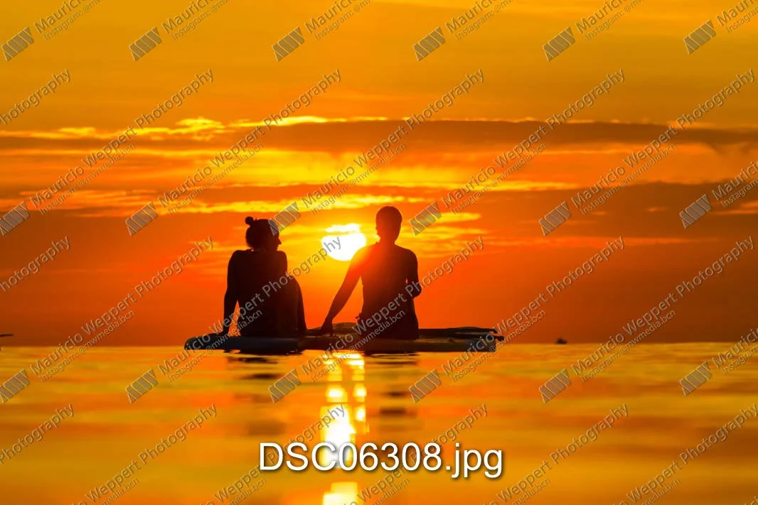 DSC06308.jpg
