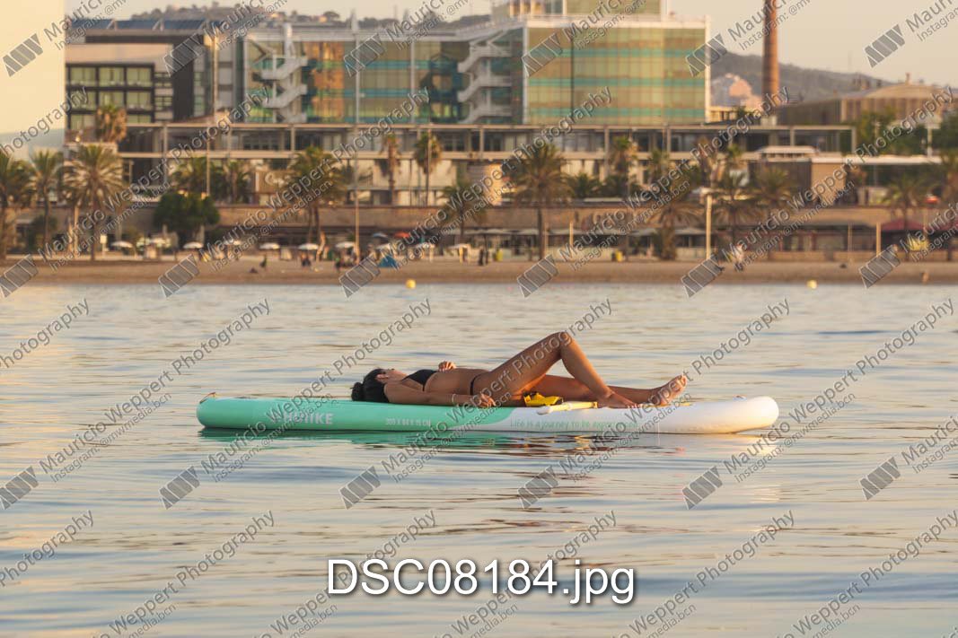 DSC08184.jpg