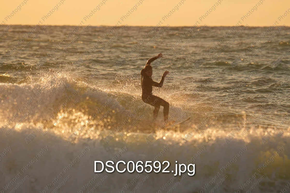 DSC06592.jpg