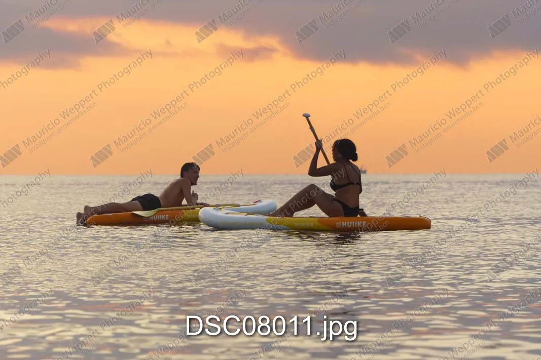 DSC08011.jpg