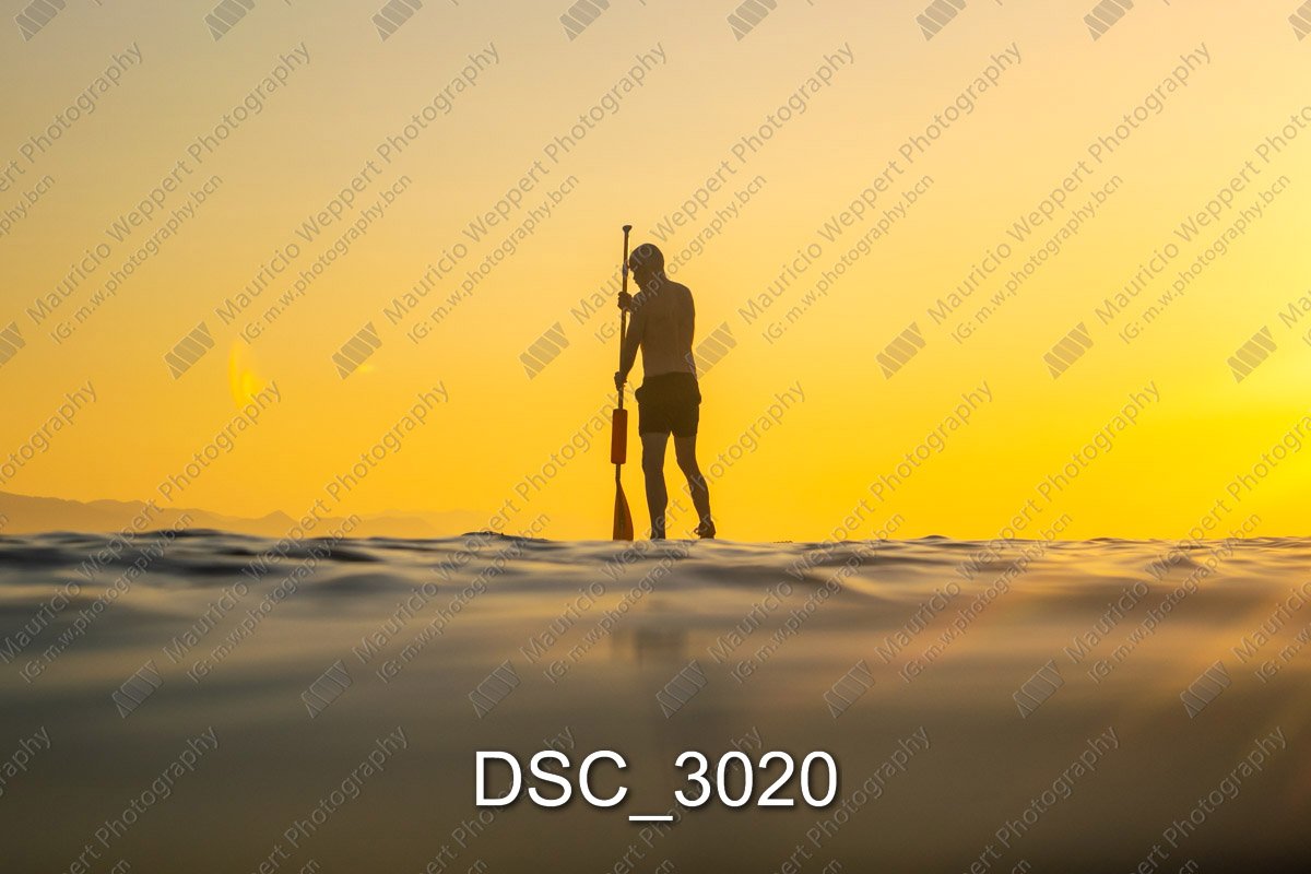 DSC_3020.jpg