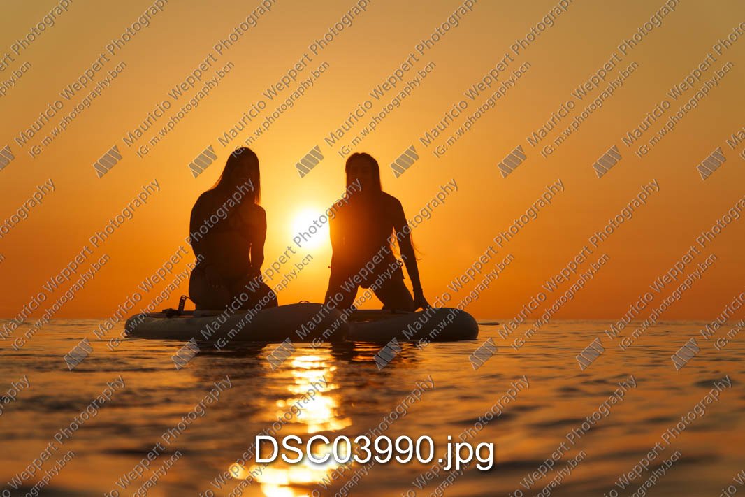 DSC03990.jpg