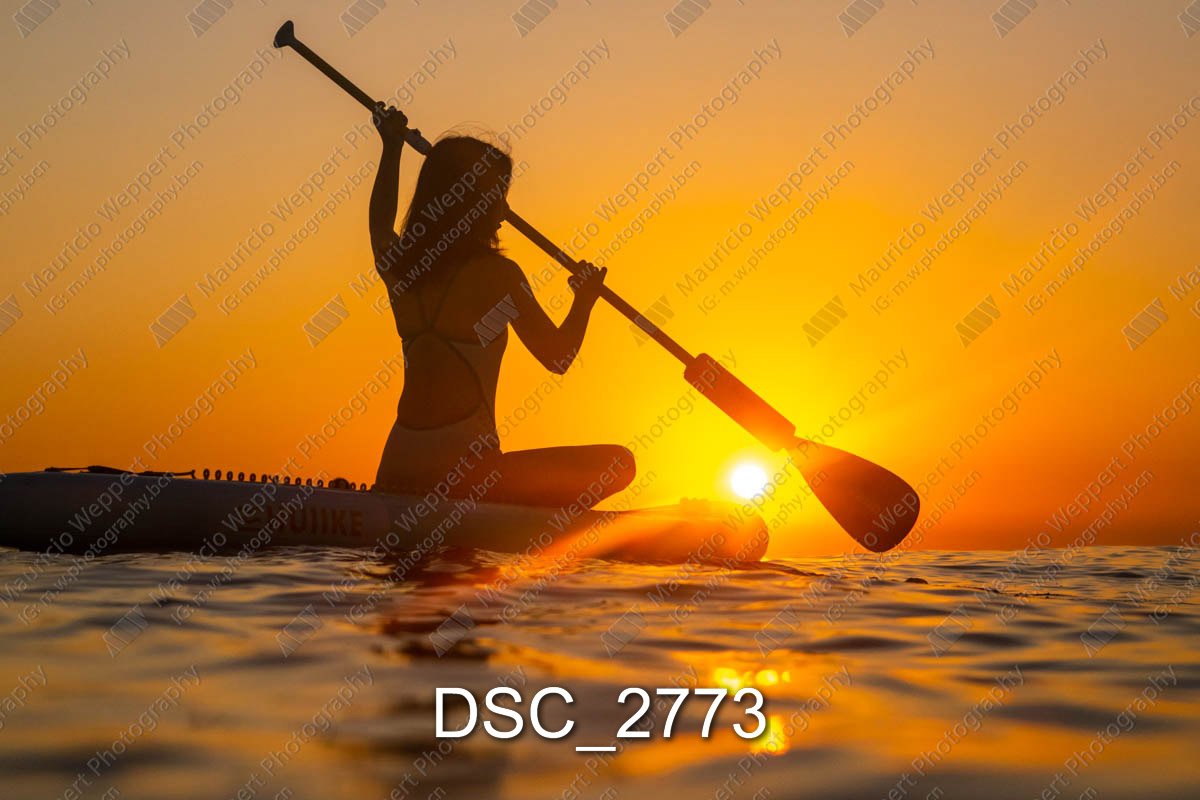 DSC_2773.jpg
