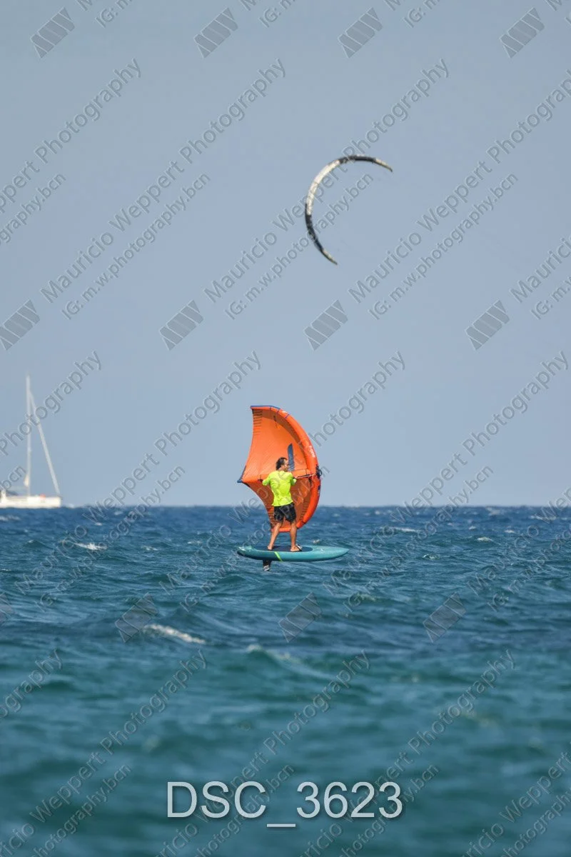 DSC_3623.jpg