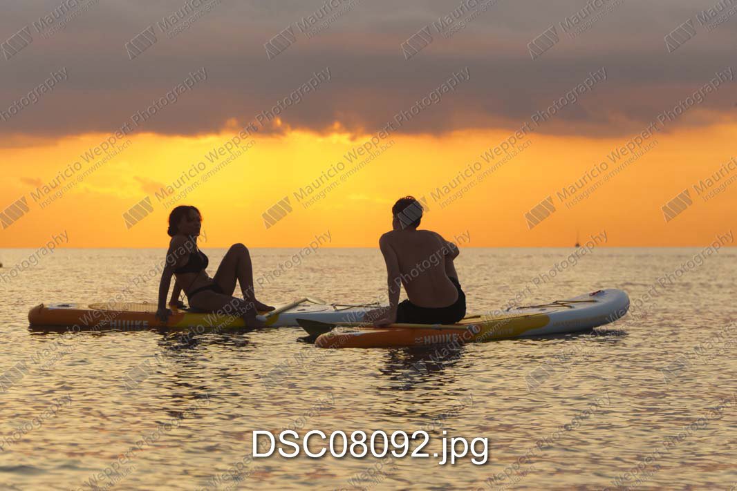 DSC08092.jpg