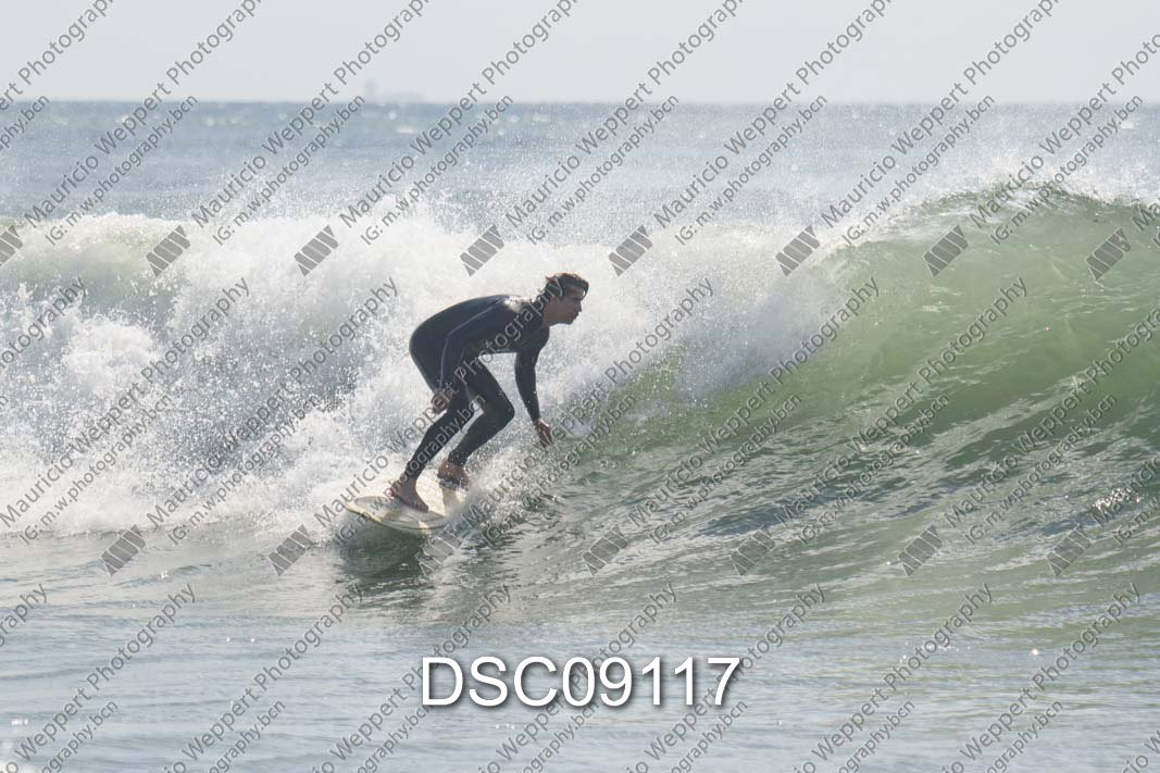 DSC09117.jpg