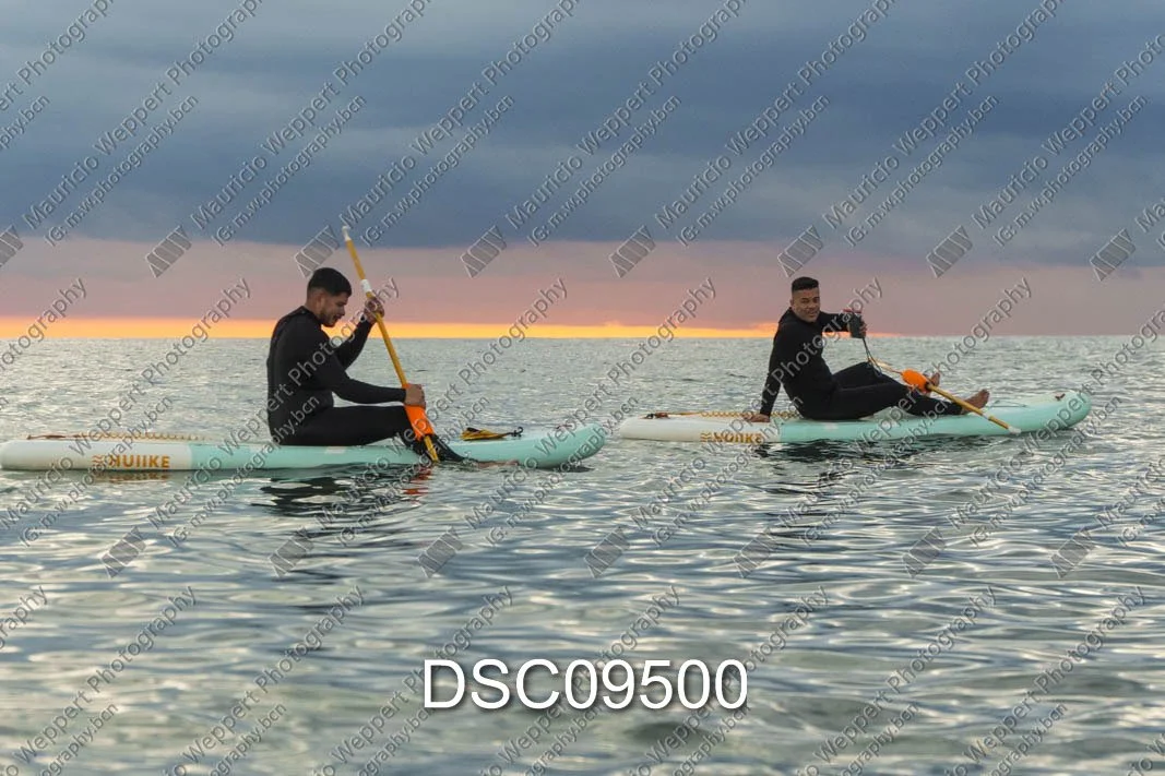 DSC09500.jpg
