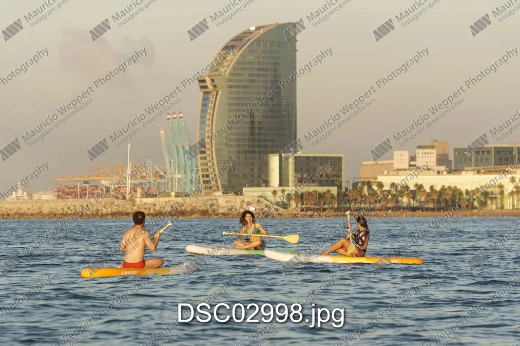 DSC02998.jpg